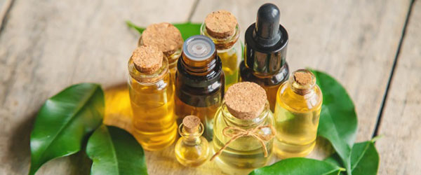 Травы от перхоти4